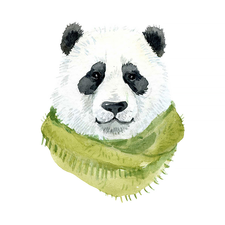 Winter Panda Bear Winter Panda Bear