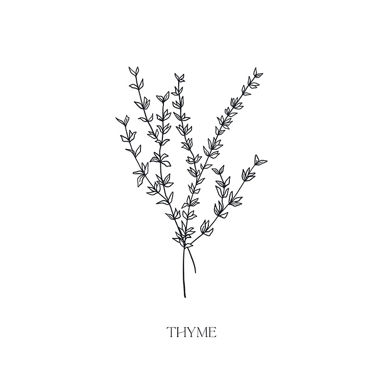 Thyme Thyme