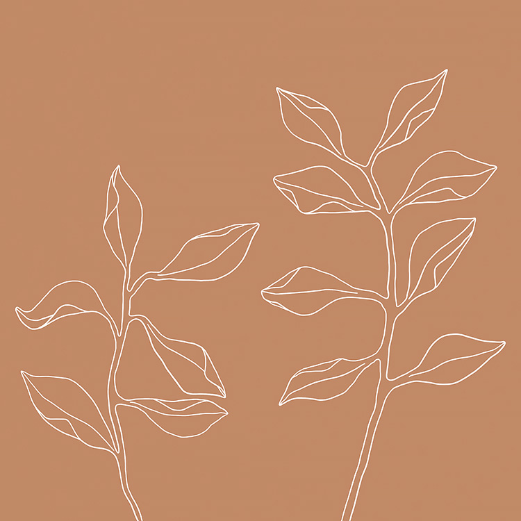 Natural plant ocher Natural plant ocher