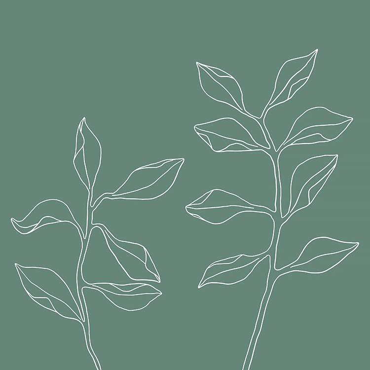 Natural Plant turquoise Natural Plant turquoise