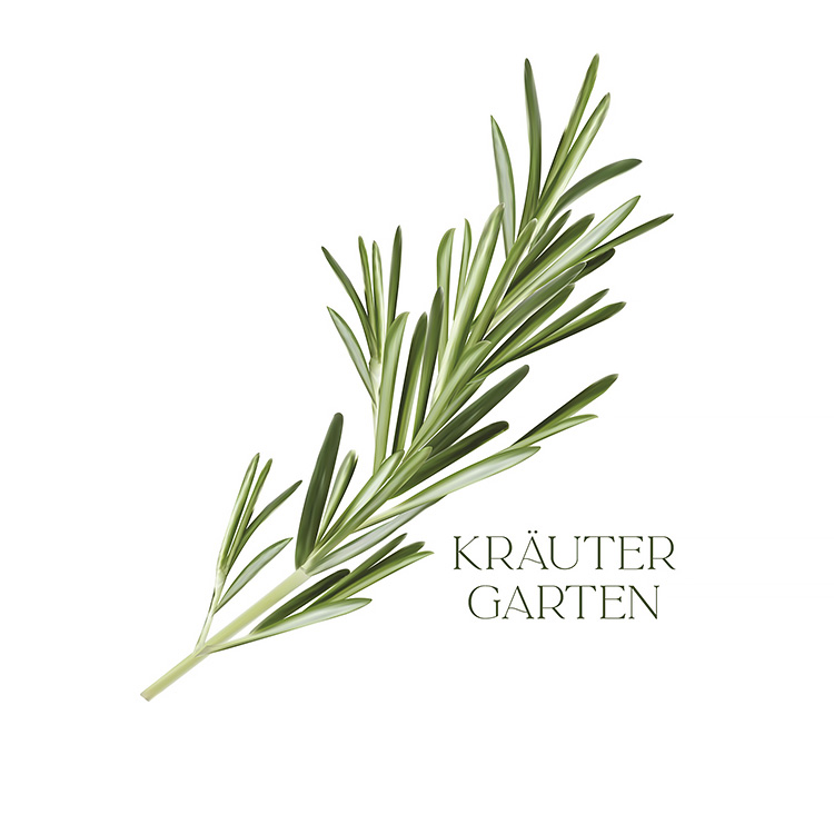 Kräutergarten Kräutergarten