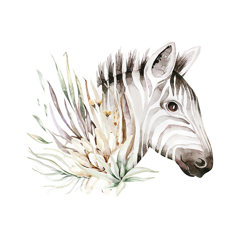 Tropical zebra Tropical zebra