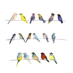 Vögel