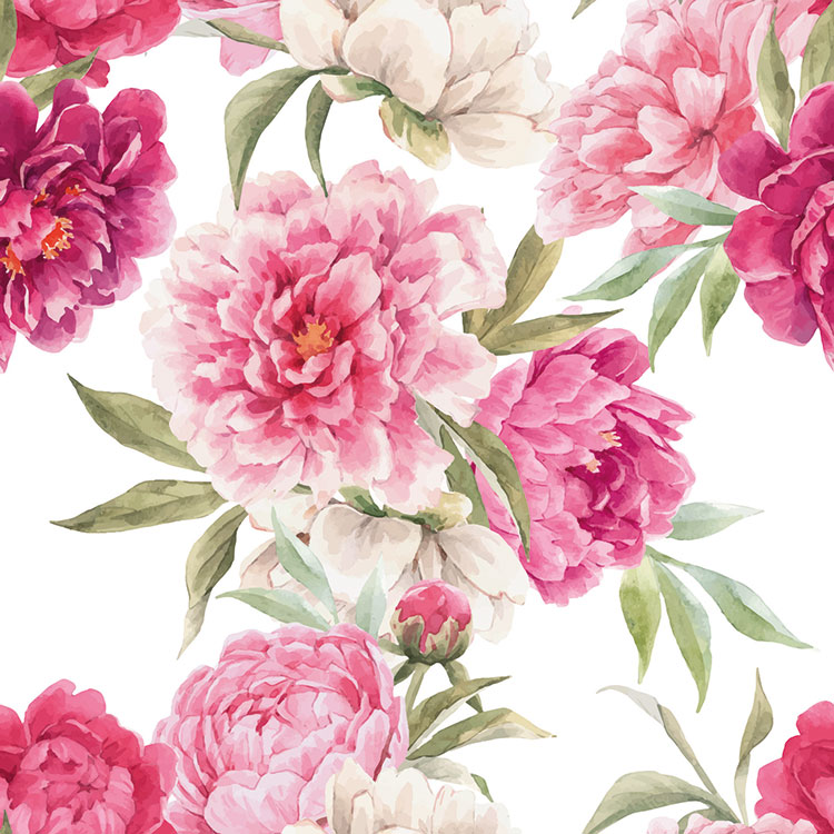 pink flowers pink flowers