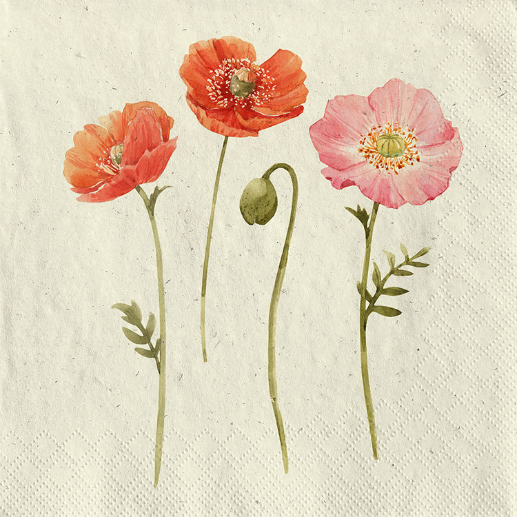 summer beauties summer beauties