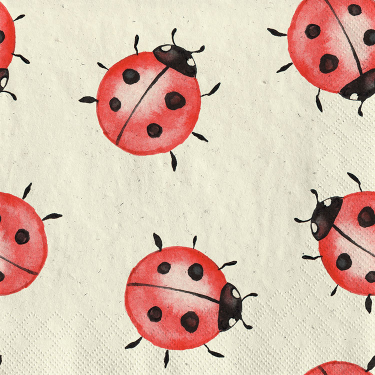 happy ladybugs happy ladybugs