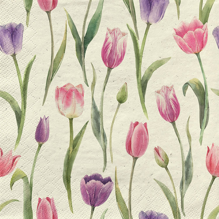 romantic tulips romantic tulips