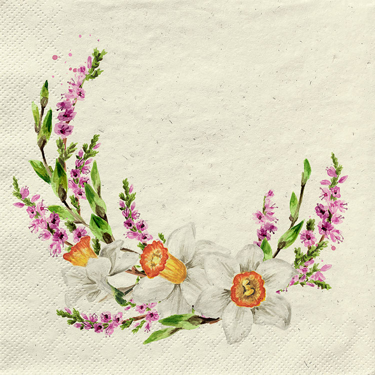 spring romance spring romance