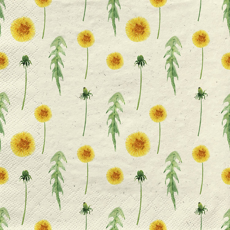 dandelions in summer dandelions in summer
