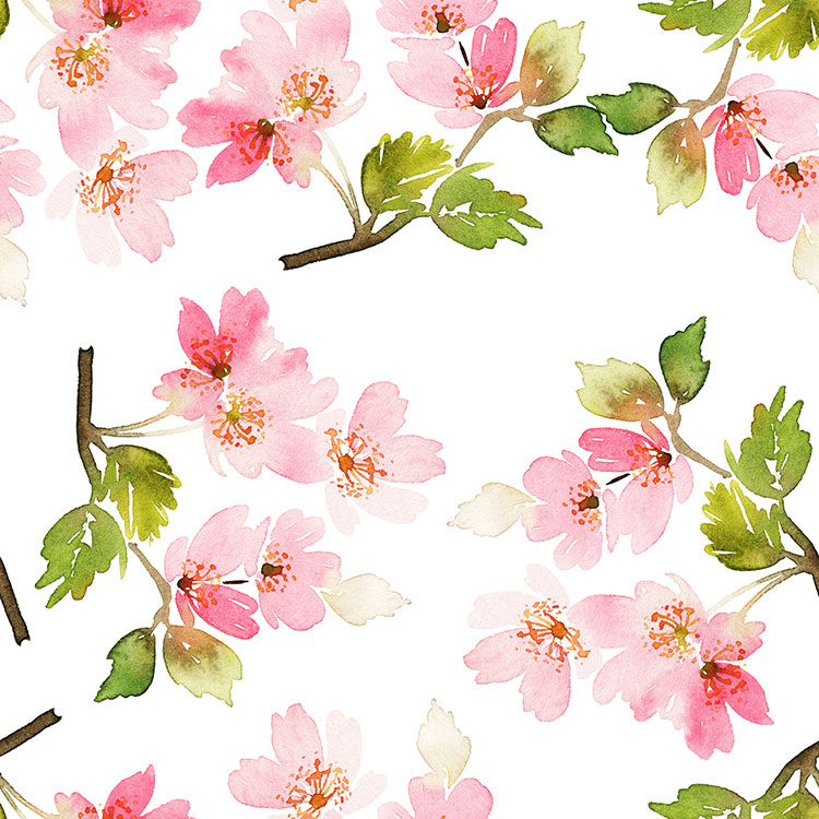 spring blossoms spring blossoms