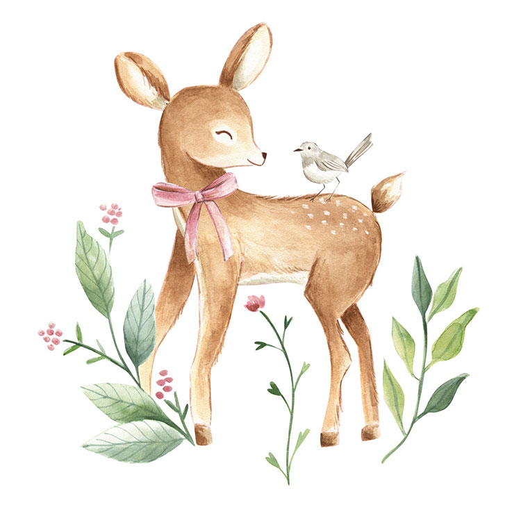baby deer baby deer