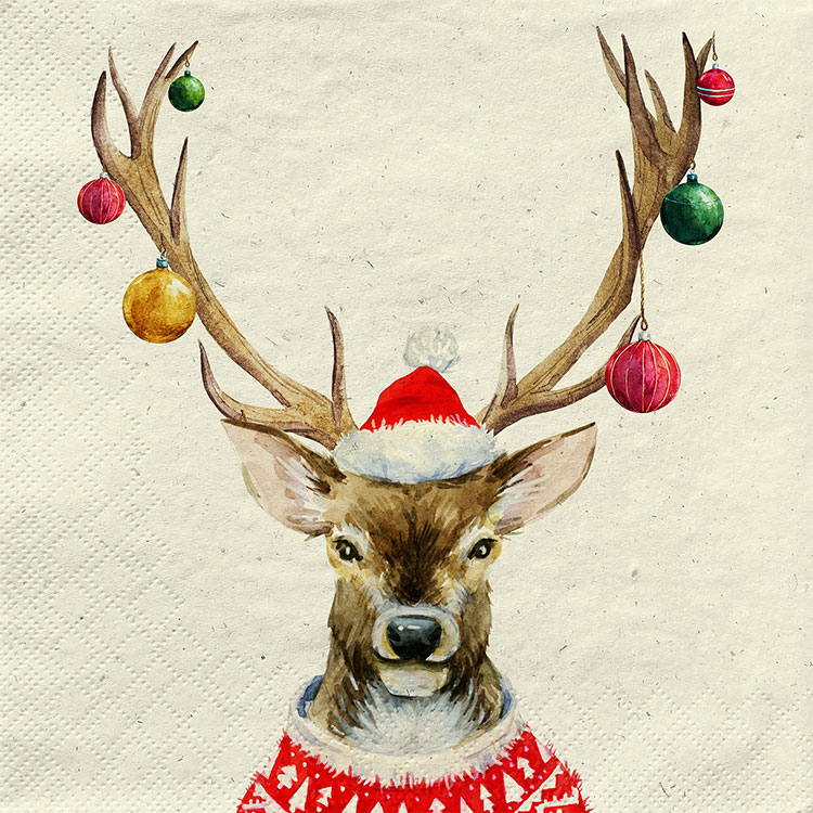 ready for christmas ready for christmas