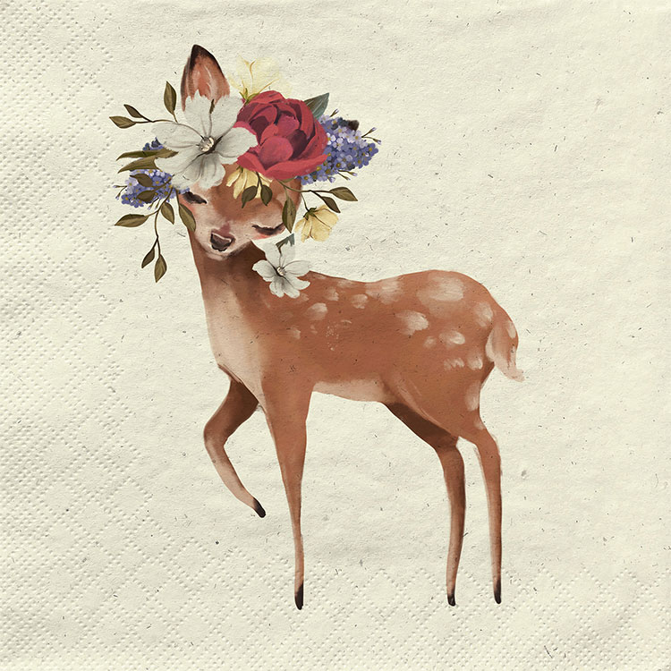 cute deer cute deer